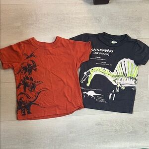 3T Dinosaur Short Sleeve Tees (2)
